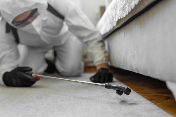Professional Bed Bug Control technician working in Eyota, MN